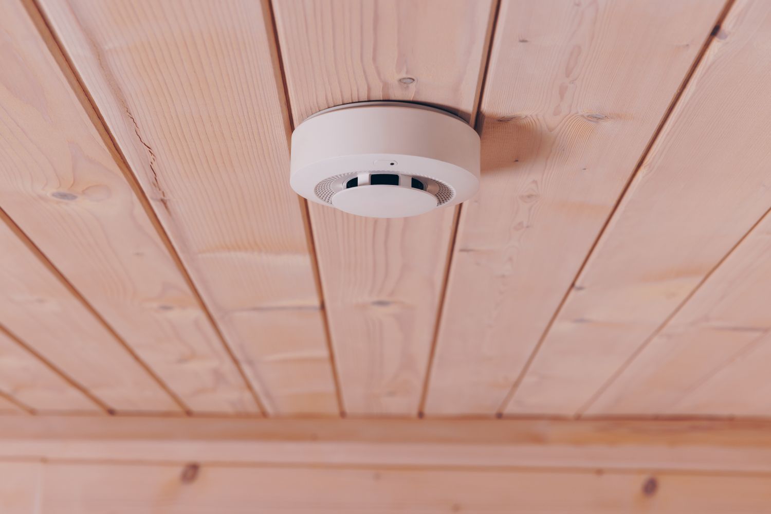 smoke detector 2